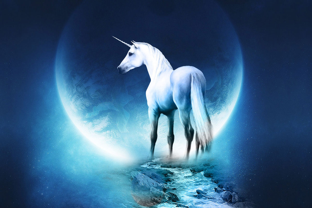 Fantasy_Horse.jpg