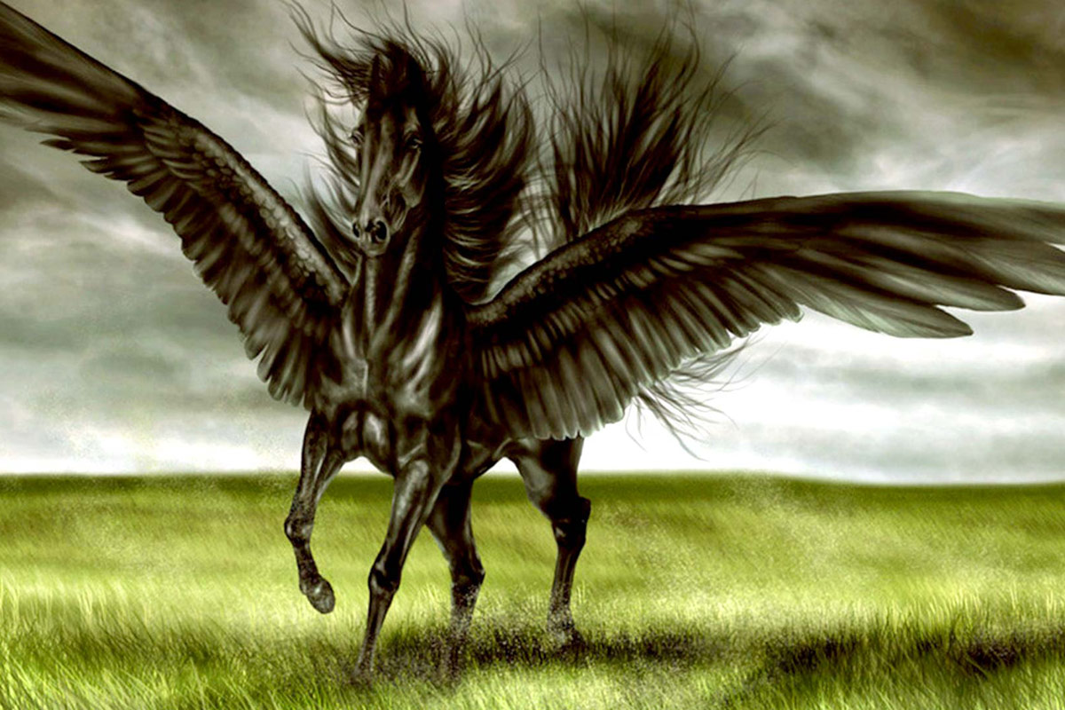Winged_Black_Horse.jpg