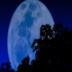 Blue moon night.nth