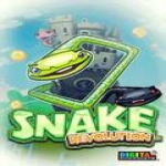 Snake Revolutions 240x320