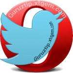 Twitter Opera mini by GURUZTIP.jar
